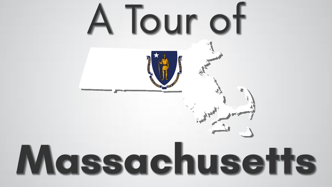 what is the state tree of massachusetts
